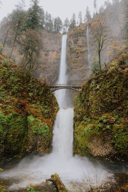 tv guide for klamath falls oregon