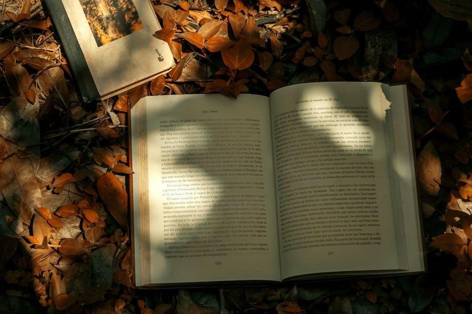 chicago travel guide book